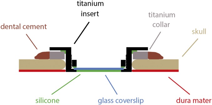 Fig. 7.