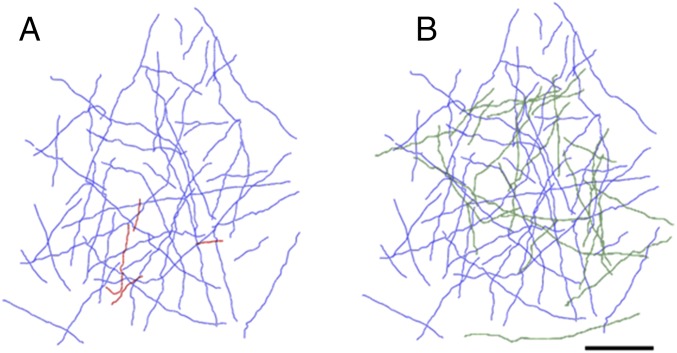 Fig. 6.