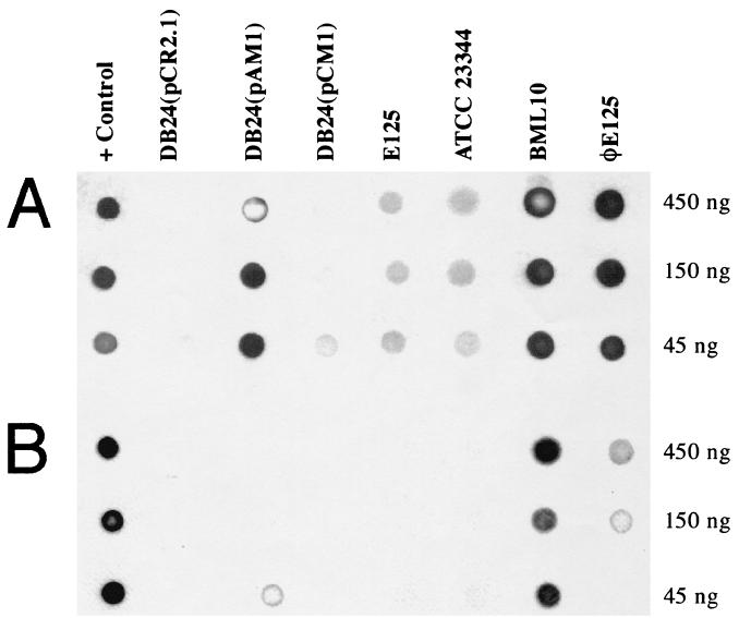 FIG. 5.