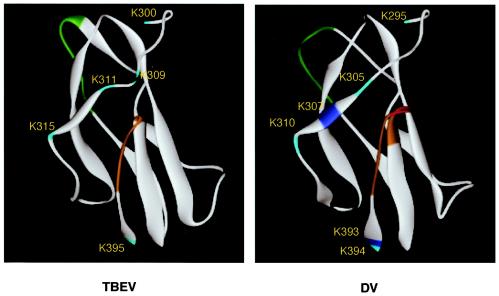 FIG. 6.