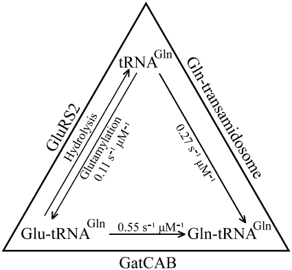 Figure 7.