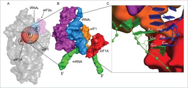 Figure 1.