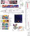 Extended Data Fig. 10