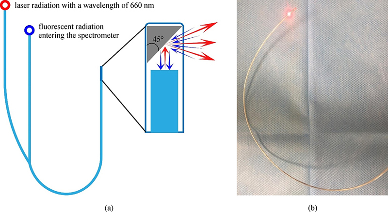 graphic file with name 12200_2020_1093_Fig1_HTML.jpg