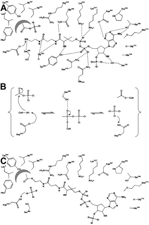 FIG. 7.