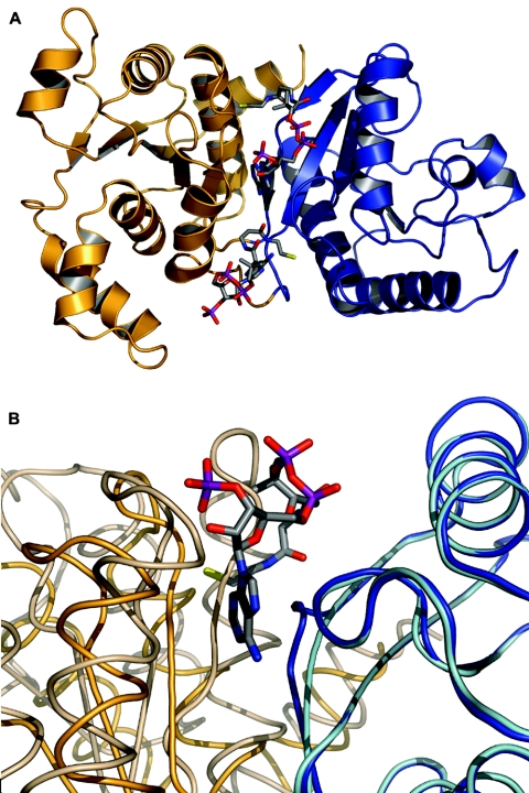 FIG. 1.