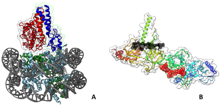 Figure 6