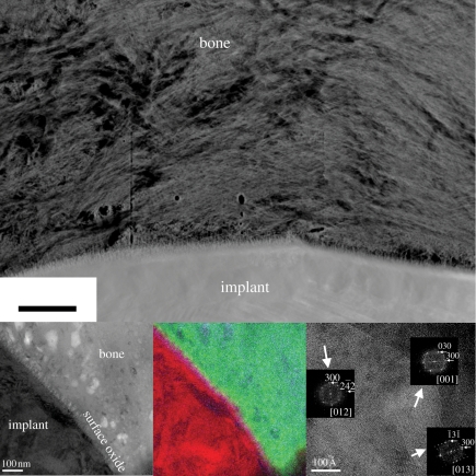 Figure 3.