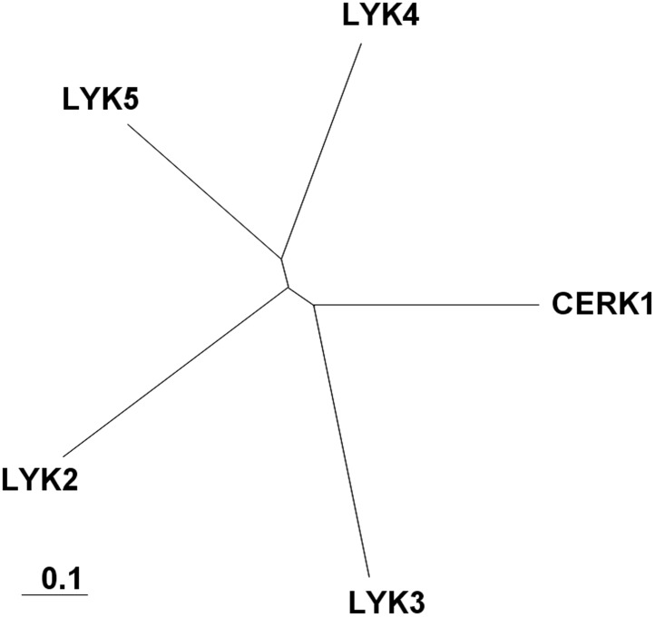 Figure 1—figure supplement 1.