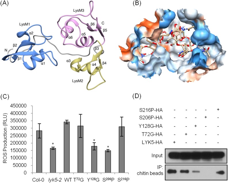 Figure 4.