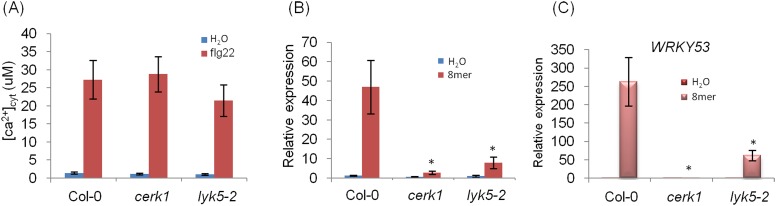 Figure 1—figure supplement 4.