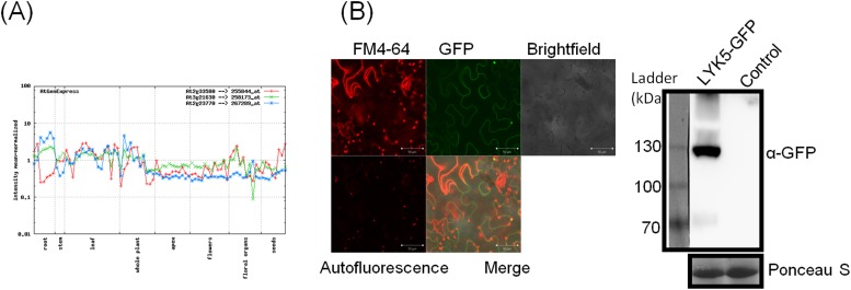 Figure 2—figure supplement 2.