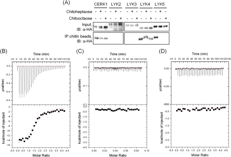 Figure 3—figure supplement 1.