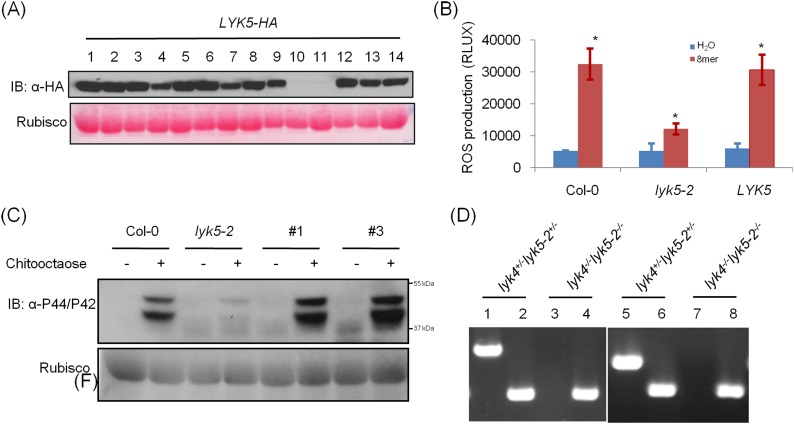 Figure 2—figure supplement 1.