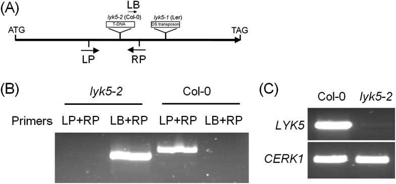 Figure 1—figure supplement 3.