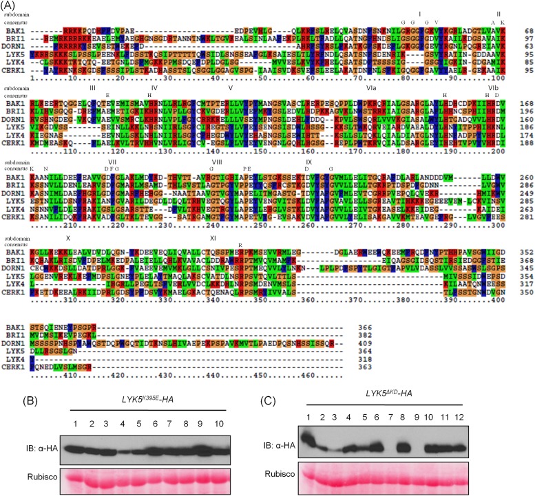 Figure 6—figure supplement 1.