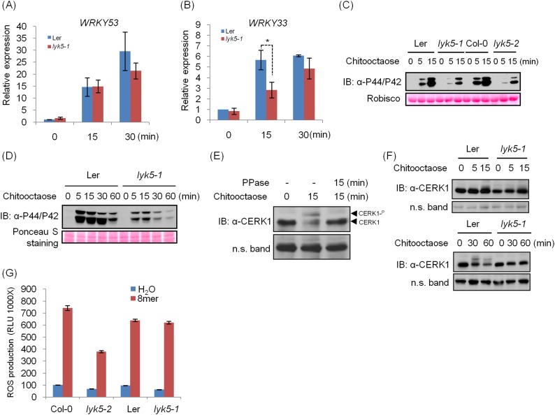 Figure 1—figure supplement 2.