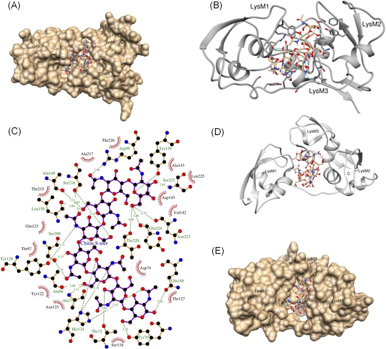 Figure 4—figure supplement 1.