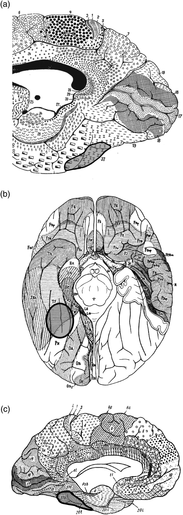 Figure 1.