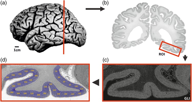 Figure 2.