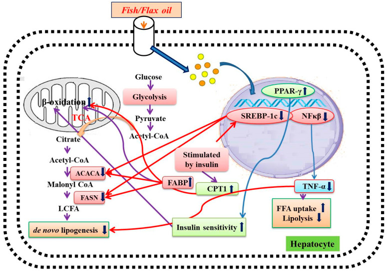 Figure 14