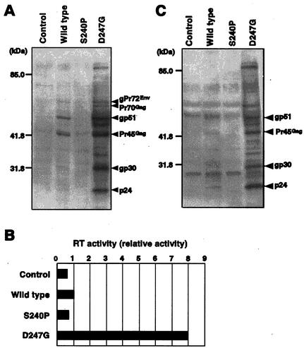 FIG. 2.