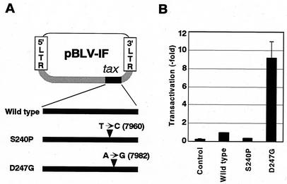 FIG. 1.