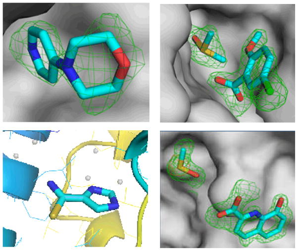 Fig. 8