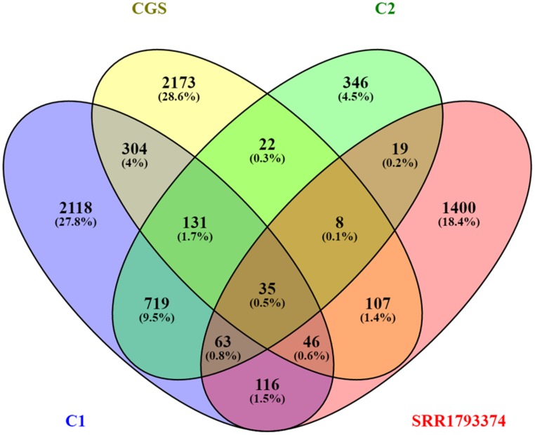 Fig 6