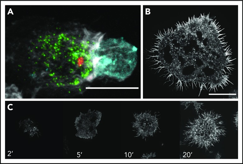 Figure 3.