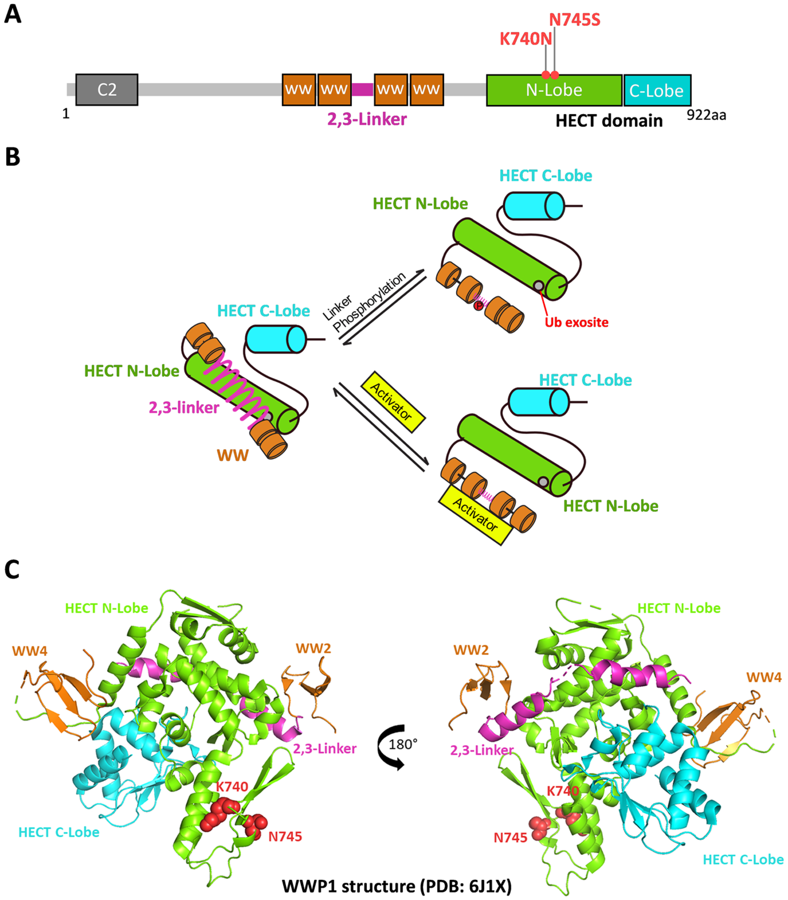 Figure 1.