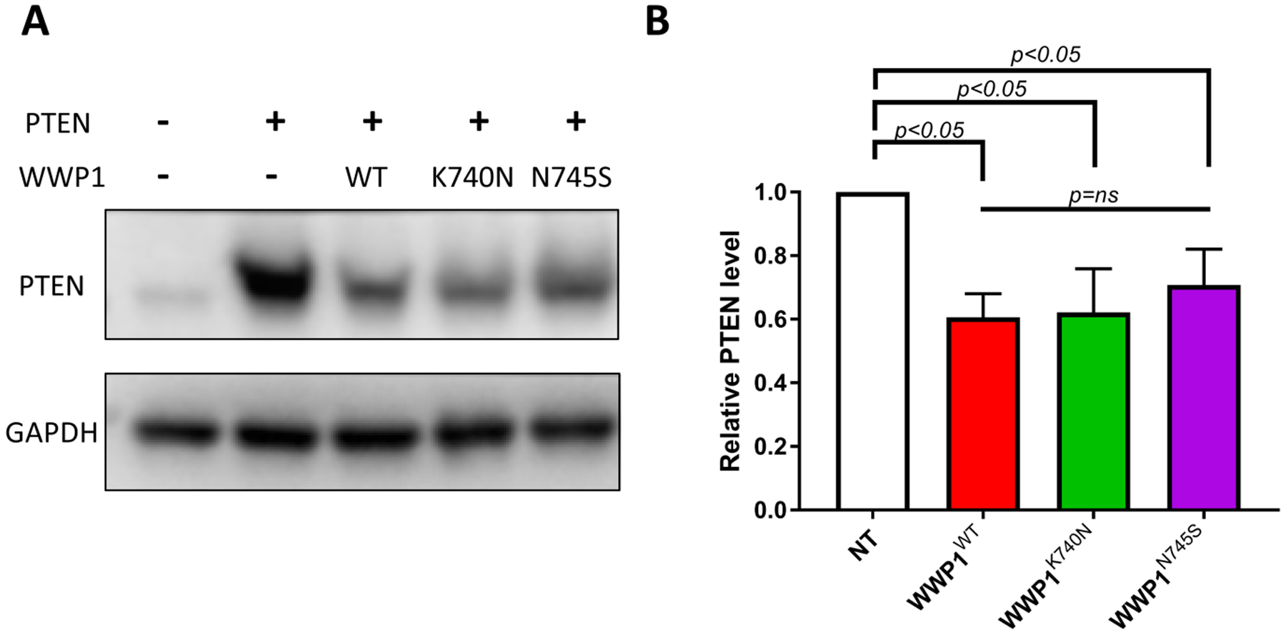 Figure 5.