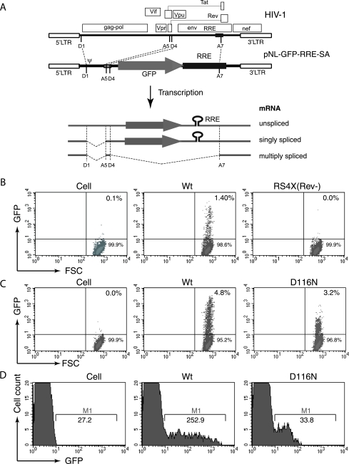 FIG. 1.