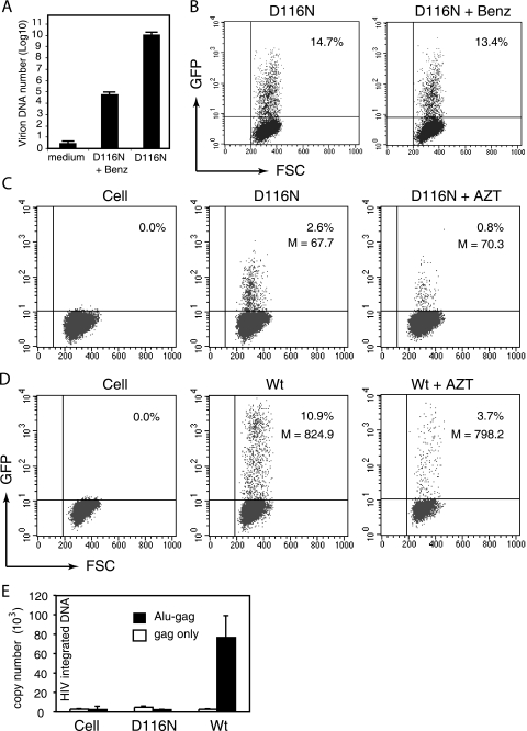 FIG. 2.