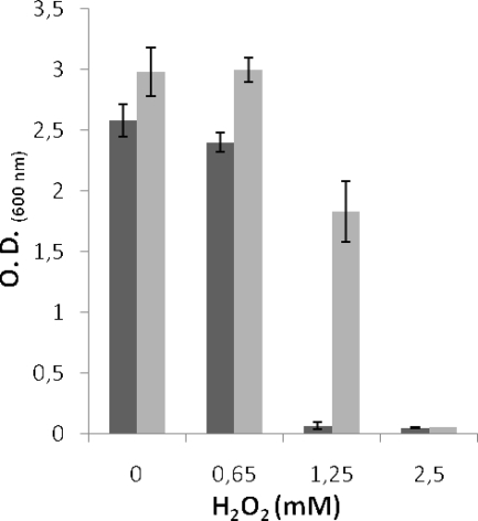 FIG. 7.