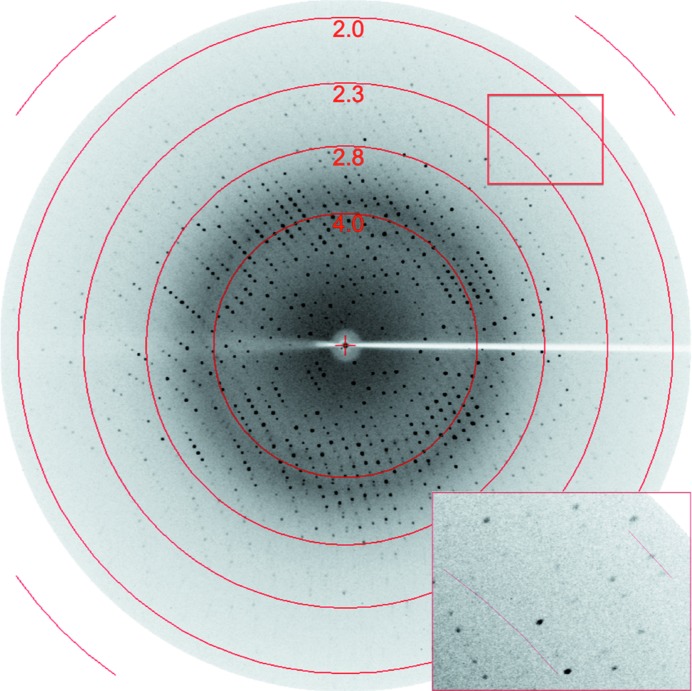 Figure 3