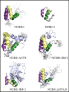 FIGURE 4.