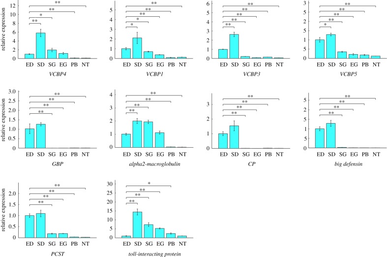 Figure 5.