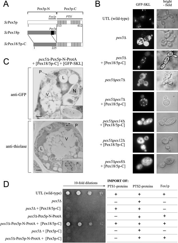 FIG.6.