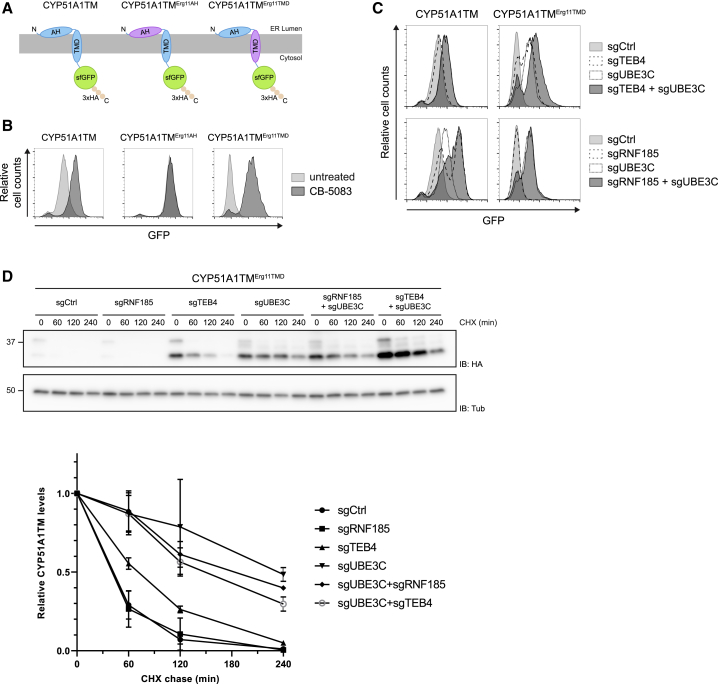 Figure 6