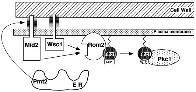 FIG. 7