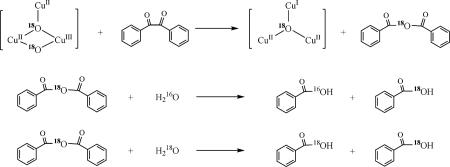 Scheme 2.