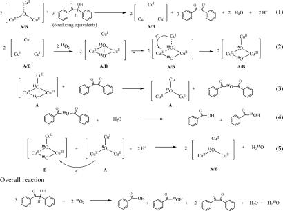 Scheme 4.