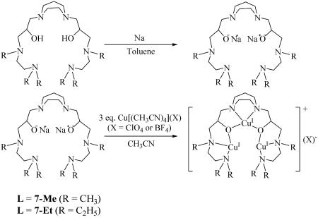 Scheme 6.