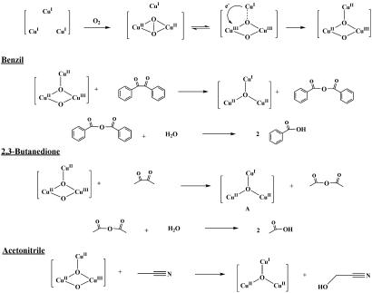 Scheme 3.