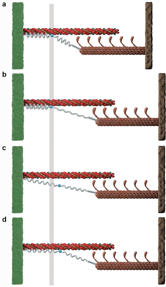 Fig 5