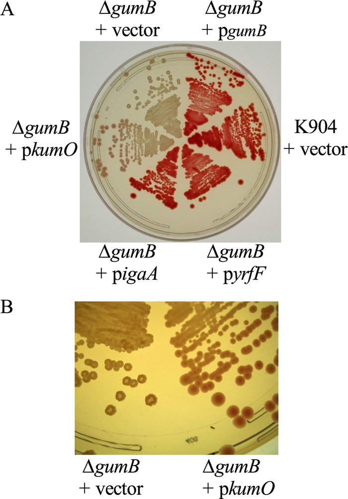 FIG 3