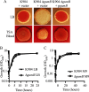 FIG 2