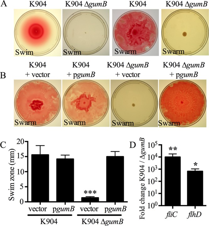 FIG 4