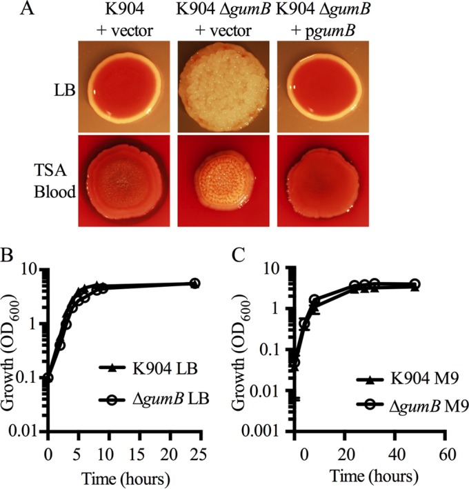 FIG 2